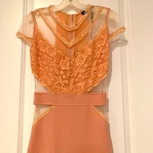 Pink asos sheer fitted dress